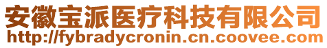 安徽寶派醫(yī)療科技有限公司