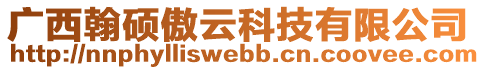 廣西翰碩傲云科技有限公司