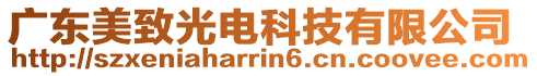 廣東美致光電科技有限公司