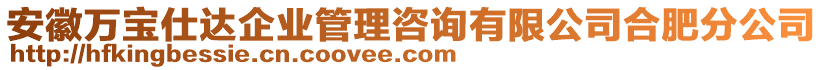 安徽萬寶仕達企業(yè)管理咨詢有限公司合肥分公司