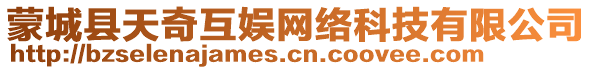 蒙城縣天奇互娛網(wǎng)絡(luò)科技有限公司