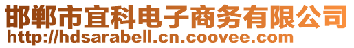 邯鄲市宜科電子商務(wù)有限公司