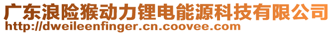 广东浪险猴动力锂电能源科技有限公司