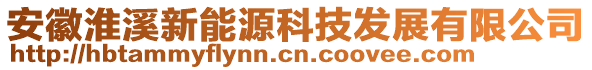 安徽淮溪新能源科技發(fā)展有限公司