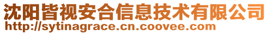 沈阳皆视安合信息技术有限公司