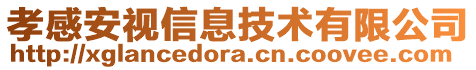 孝感安視信息技術有限公司