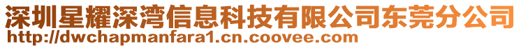 深圳星耀深灣信息科技有限公司東莞分公司