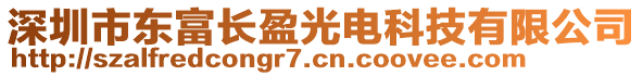 深圳市東富長盈光電科技有限公司