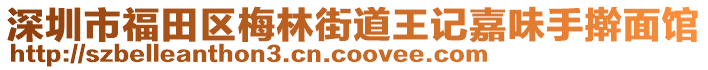 深圳市福田區(qū)梅林街道王記嘉味手搟面館