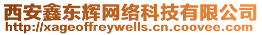 西安鑫東輝網(wǎng)絡(luò)科技有限公司