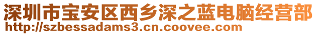 深圳市寶安區(qū)西鄉(xiāng)深之藍電腦經營部