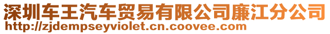 深圳车王汽车贸易有限公司廉江分公司