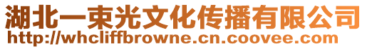 湖北一束光文化傳播有限公司