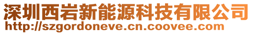 深圳西巖新能源科技有限公司