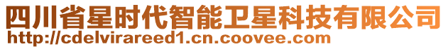 四川省星時代智能衛(wèi)星科技有限公司