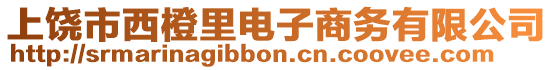 上饒市西橙里電子商務(wù)有限公司