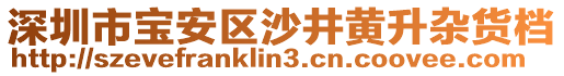 深圳市寶安區(qū)沙井黃升雜貨檔