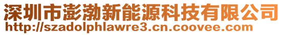 深圳市澎渤新能源科技有限公司