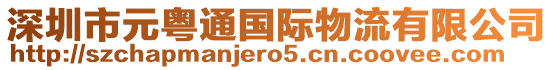 深圳市元粵通國(guó)際物流有限公司