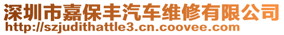 深圳市嘉保豐汽車維修有限公司