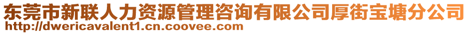 東莞市新聯(lián)人力資源管理咨詢有限公司厚街寶塘分公司