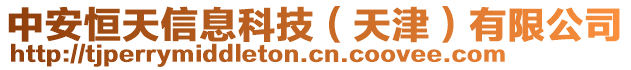 中安恒天信息科技（天津）有限公司