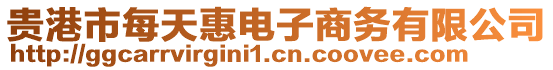 貴港市每天惠電子商務有限公司