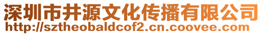 深圳市井源文化傳播有限公司