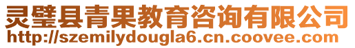 靈璧縣青果教育咨詢有限公司