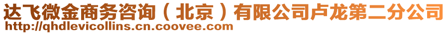 達飛微金商務咨詢（北京）有限公司盧龍第二分公司