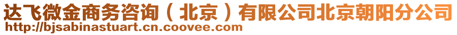 達(dá)飛微金商務(wù)咨詢（北京）有限公司北京朝陽分公司