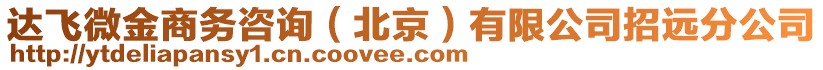 達(dá)飛微金商務(wù)咨詢（北京）有限公司招遠(yuǎn)分公司