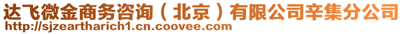 達飛微金商務(wù)咨詢（北京）有限公司辛集分公司