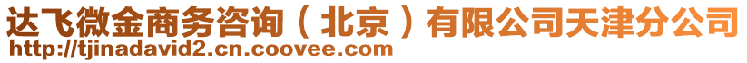 達飛微金商務(wù)咨詢（北京）有限公司天津分公司