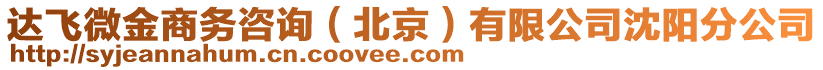 達飛微金商務咨詢（北京）有限公司沈陽分公司