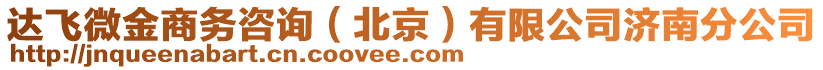 達(dá)飛微金商務(wù)咨詢（北京）有限公司濟(jì)南分公司