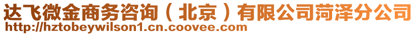 達飛微金商務(wù)咨詢（北京）有限公司菏澤分公司