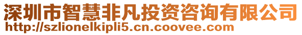 深圳市智慧非凡投資咨詢有限公司