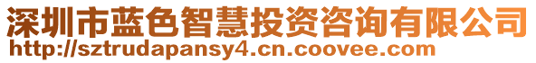 深圳市蓝色智慧投资咨询有限公司