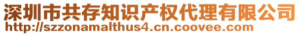 深圳市共存知識(shí)產(chǎn)權(quán)代理有限公司