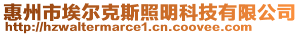 惠州市埃爾克斯照明科技有限公司