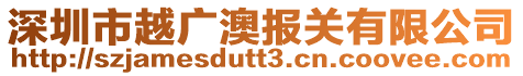 深圳市越廣澳報(bào)關(guān)有限公司