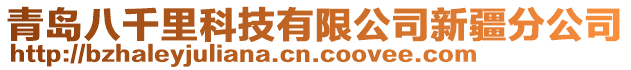 青島八千里科技有限公司新疆分公司