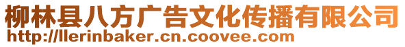 柳林县八方广告文化传播有限公司