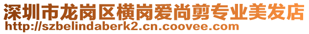 深圳市龍崗區(qū)橫崗愛尚剪專業(yè)美發(fā)店