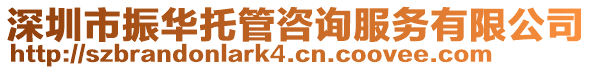 深圳市振華托管咨詢服務有限公司