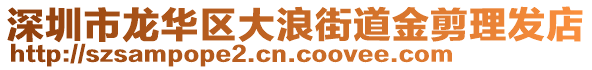 深圳市龍華區(qū)大浪街道金剪理發(fā)店