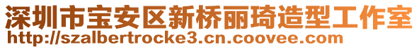 深圳市寶安區(qū)新橋麗琦造型工作室