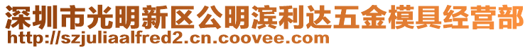 深圳市光明新區(qū)公明濱利達(dá)五金模具經(jīng)營部