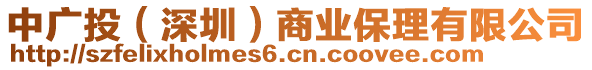 中廣投（深圳）商業(yè)保理有限公司